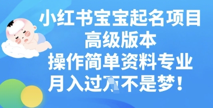 小红书宝宝起名项目高级版本，操作简单，资料专业，月入过W-新旭资源网