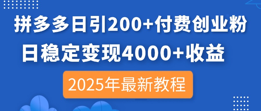 (14217期)拼多多日引200+付费创业粉,日稳定变现4000+收益,2025年最新教程-新旭资源网