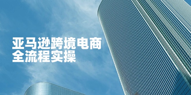 （14252期）亚马逊跨境电商全流程实操，教你从零开始，掌握店铺运营与广告技巧-新旭资源网