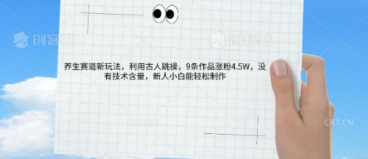 AI养生赛道新玩法，10条作品涨粉5.2W，操作简单，新人小白能轻松制作-新旭资源网