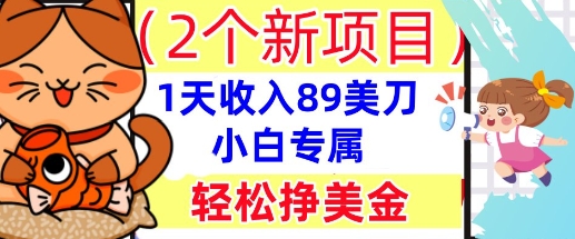 2个新项目,轻松挣美金, 1天收入89美刀,小白专属,干货分享-新旭资源网