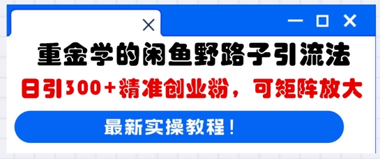 重金学的闲鱼野路子引流法，日引300+精准创业粉，可矩阵放大-新旭资源网