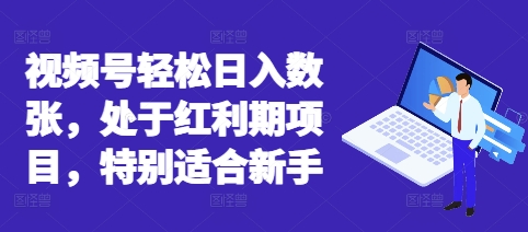 视频号轻松日入数张,处于红利期项目,特别适合新手-新旭资源网