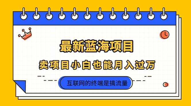 (14289期)2025年最新蓝海项目,卖项目小白也能月入过万-新旭资源网