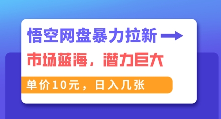 悟空网盘暴力拉新：一单10元，市场空白，日入几张-新旭资源网