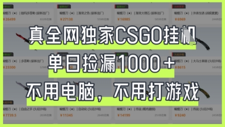 真全网独家CSGO挂G,单日捡漏1k+【揭秘】-新旭资源网