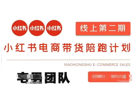 小红书电商带货课2期，月利润20个的小红书电商的有货源，无货源，虚拟产品，付费投流等整套玩法-新旭资源网