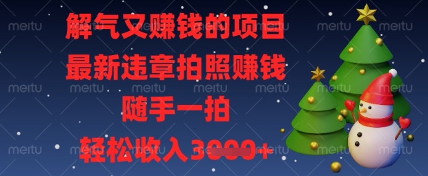 解气又挣钱的项目,最新违章拍照挣钱,随手一拍,轻松收入数张【揭秘】-新旭资源网